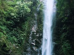 -莫里热带雨林景区