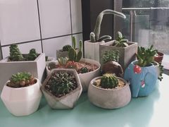 -蜜蜂小象·榴莲千层蛋糕(时代汇11栋店)