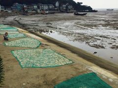 iphone_upload_pic-汤山公园