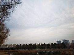 -滨湖塘西河公园