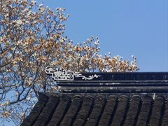 -枫桥景区