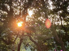 -时光花园(白鹭洲店)