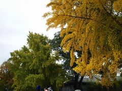 -北京石刻艺术博物馆(五塔寺)