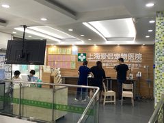 -爱侣宠医·鹦鹉专科·小型哺乳类·异宠专科(灵石路店)