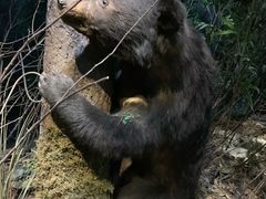 -陕西自然博物馆