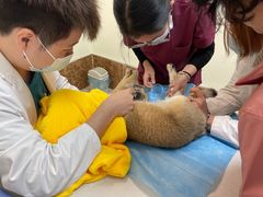 -美联众合24小时·皮肤科·外科·全科诊疗中心(华苑分院)