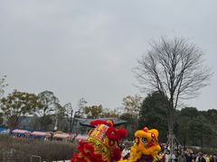 -成飞公园