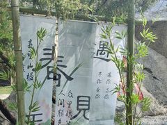-秦岭终南山世界地质公园翠华山景区