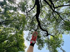 -上海市龙华烈士陵园