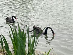 -昆山城市生态森林公园