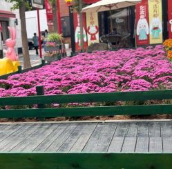 -爱儿美儿童摄影(五路居花园别墅店)