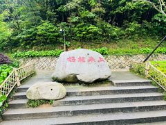 -普陀山风景区-佛顶山