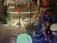 -zoonana室内动物园(东方福来德店)