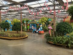 -南宫五洲植物乐园