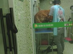 -瑞鹏·疫苗·绝育·宠物医院(金沙洲店)