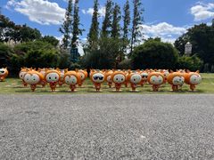 -上海长兴岛郊野公园