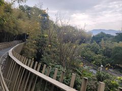 -福道