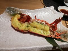 芝士波龙-虹料理·日料放题(悠方店)