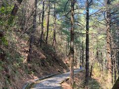 -苍山感通索道