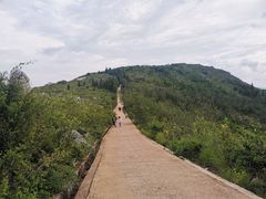 -长虫山生态公园风景林