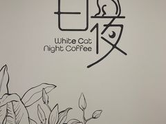 -白夜2D咖啡馆