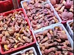 -呈贡滇池生态湿地公园