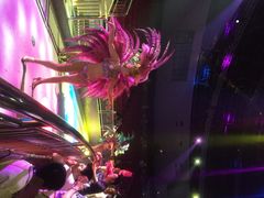 灵玲国际马戏城-灵玲国际马戏城