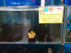 -蚝专家(北滘店)
