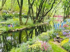 -上海共青森林公园