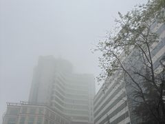 -武汉大学人民医院(首义院区)