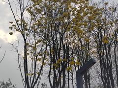 -府河摄影公园
