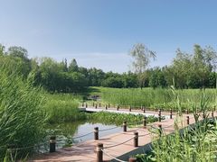 -翠湖国家城市湿地公园
