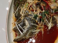 -和源祥·日照菜扛把子(万平口一店)