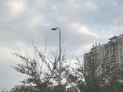 -德四家·云南傣味烧烤品牌(和谐店)