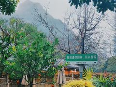 -大自然(鲁家村店)