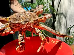 -揽季锅物会·海鲜姿造(三坊七巷店)