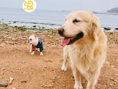 -青岛第三海水浴场