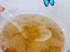 -老周记顺德双皮奶