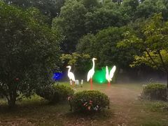 -合肥野生动物园