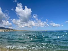 -青海湖国家重点风景名胜区