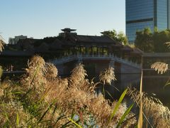 -西海子公园