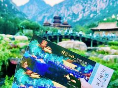 -禅宗少林·音乐大典