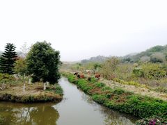 -丹樱生态园