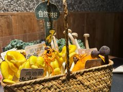 鸡油菌-大龙燚·旷野鲜火锅(广州首店)