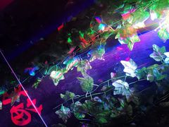 -夜幕浸入式超级密室(望京店)