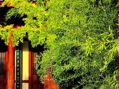 -西安大兴善寺