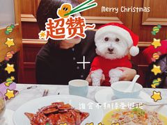 -蝶园·装修中(BFC外滩金融中心店)