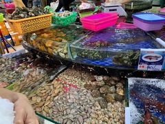 -三亚新鸿港水果一级批发市场