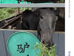 -元鼎宝驴香·全驴宴(江宁店)