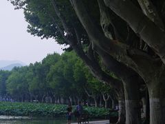 -北山街历史文化街区